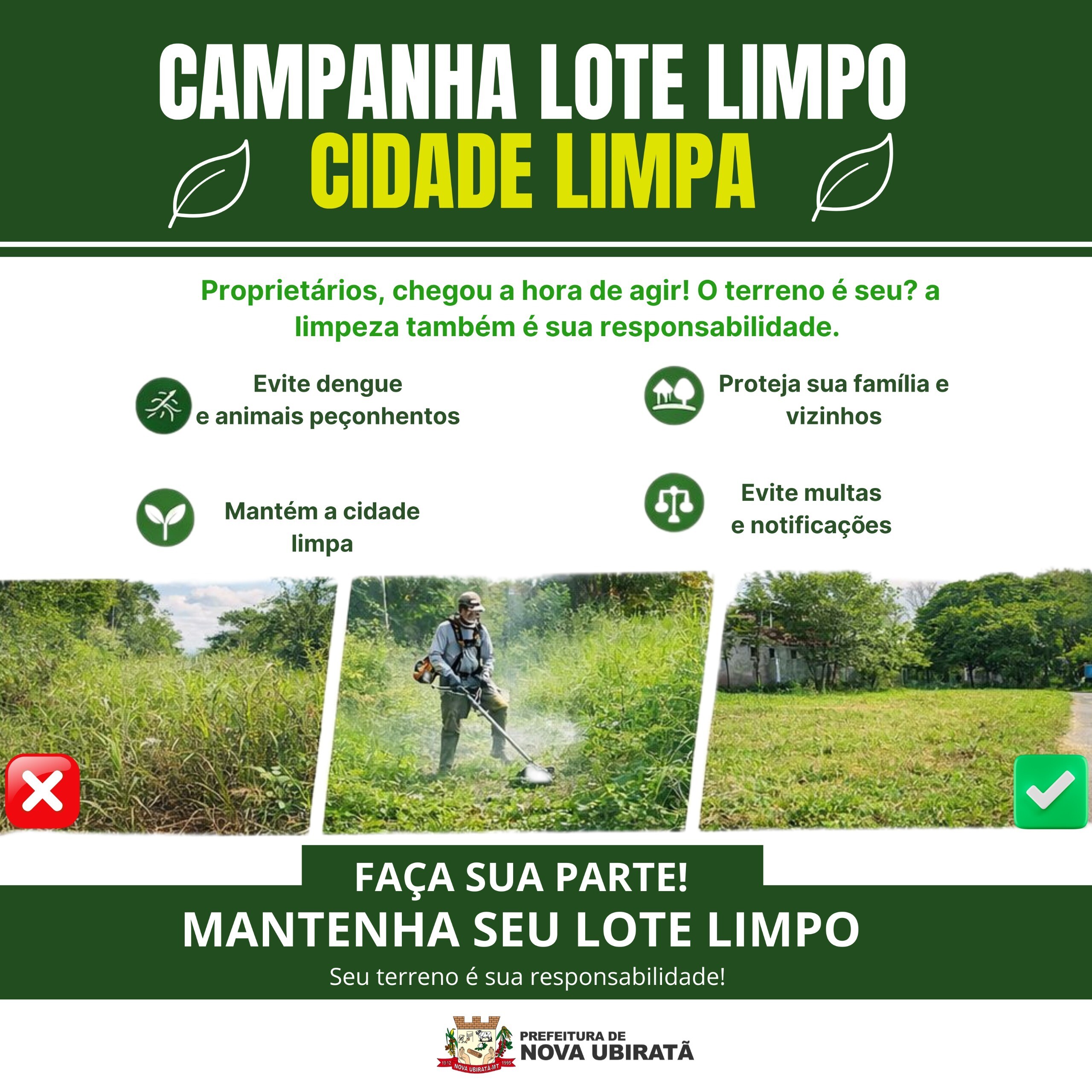 campanha lote limpo