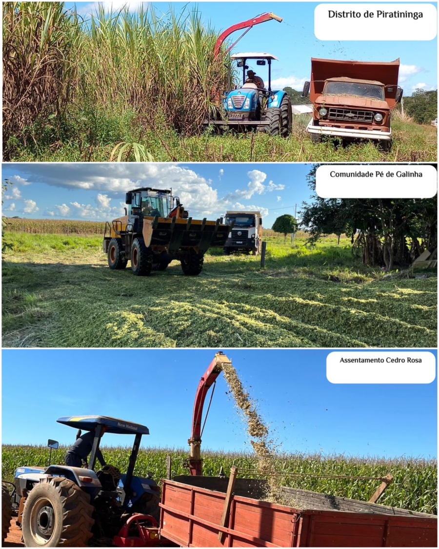 Secretaria de Agricultura está realizando o processo de produção de silagem para os pequenos produtores do município