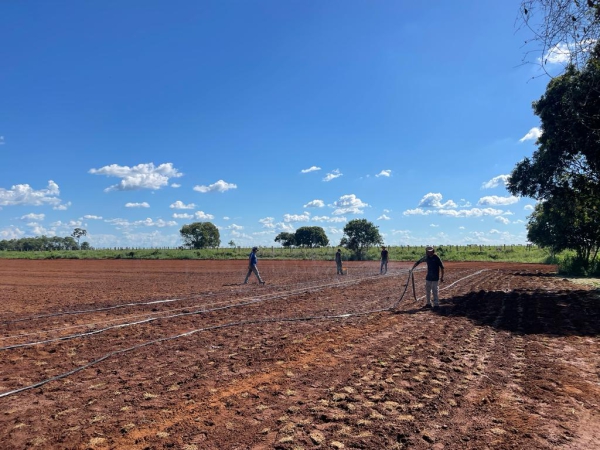 Secretarias Municipais realizam plantio de grama em campo de futebol no distrito de Novo Mato Grosso