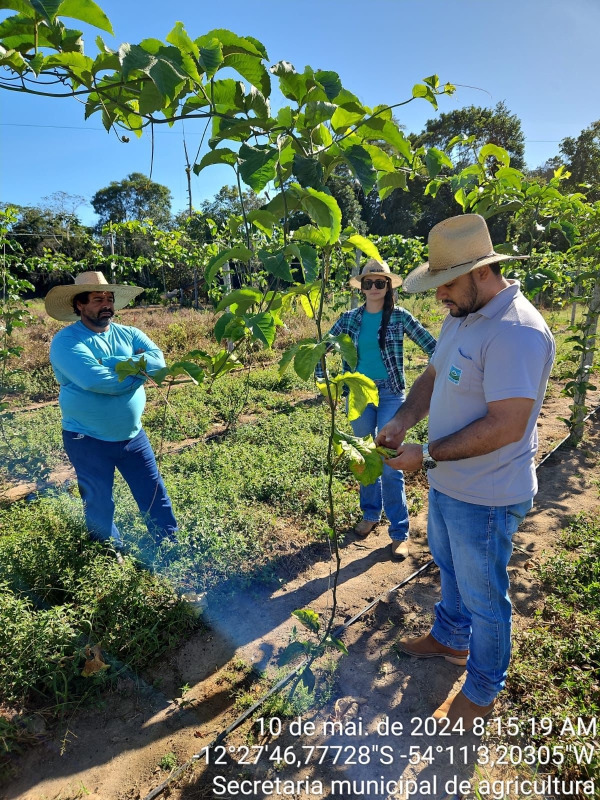 Secretaria de Agricultura realizou visitas técnicas aos produtores do distrito de Entre Rios