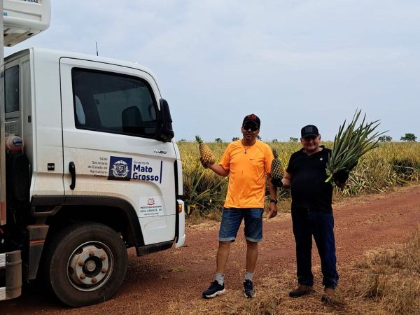 Prefeitura de Nova Ubiratã impulsiona agricultura familiar com transporte de mudas de abacaxi