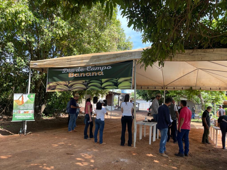 Secretarias de Agricultura e Meio Ambiente promovem o Dia de Campo de Banana