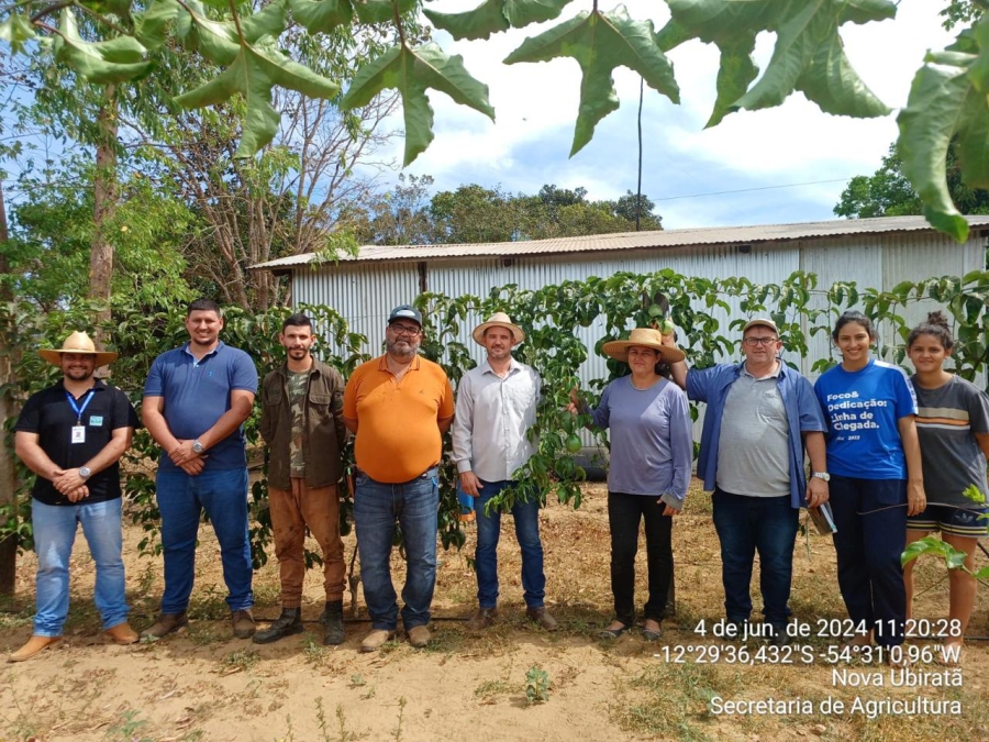 Secretaria de Agricultura realizou acompanhamento técnico aos produtores do distrito de Entre Rios 