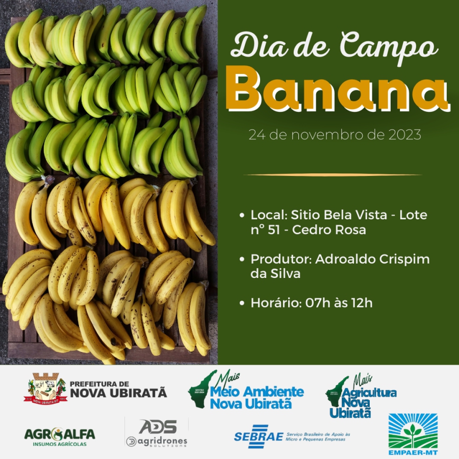 As Secretarias de Agricultura e Meio Ambiente irão promover o Dia de Campo de Banana